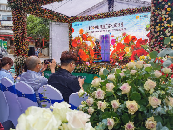 pf߲õ Mrȫ污502WQ3S